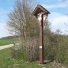 04 unterwegs im zbinger forst 9